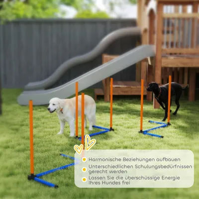 PawHut Agility Set Hunde