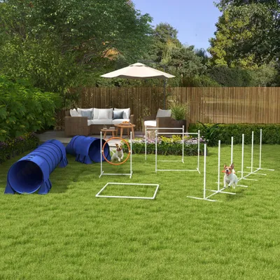 PawHut Agility Set Hunde