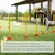 PawHut Agility Set Hunde