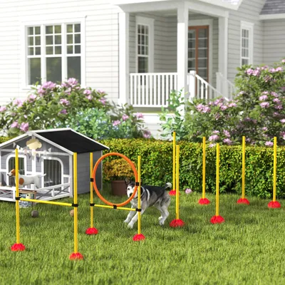 PawHut Agility Set Hunde