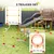 PawHut Agility Set Hunde
