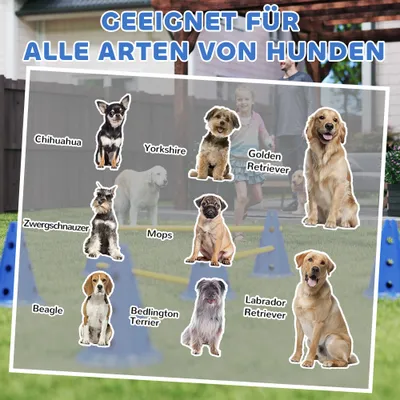 PawHut Agility Set Hunde PawHut Agility Set Hunde