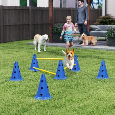 PawHut Agility Set Hunde PawHut Agility Set Hunde
