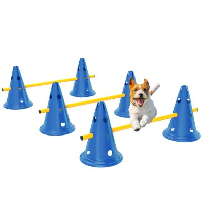 PawHut Agility Set Hunde Blau