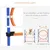PawHut Agility Set Hunde