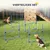 PawHut Agility Set Hunde PawHut Agility Set Hunde