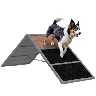 PawHut Agility Set Hunde