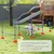 PawHut Agility Set Hunde PawHut Agility Set Hunde