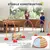PawHut Agility Set Hunde