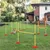 PawHut Agility Set Hunde