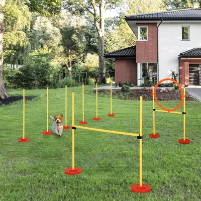 PawHut Agility Set Hunde