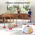 PawHut Agility Set Hunde PawHut Agility Set Hunde