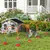 PawHut Agility Set Hunde PawHut Agility Set Hunde