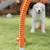 PawHut Agility Set Hunde PawHut Agility Set Hunde