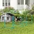 PawHut Agility Set Hunde PawHut Agility Set Hunde