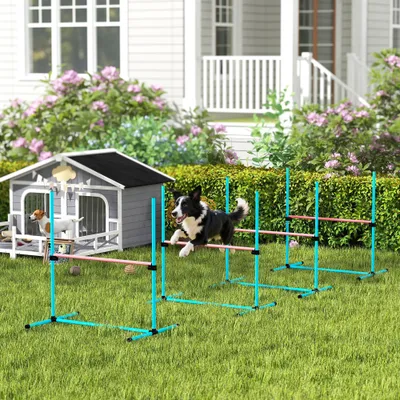 PawHut Agility Set Hunde PawHut Agility Set Hunde