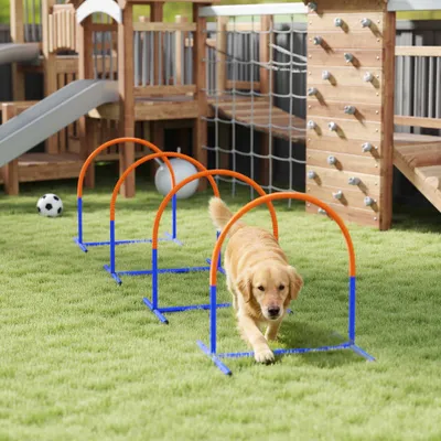 PawHut Agility Set Hunde PawHut Agility Set Hunde