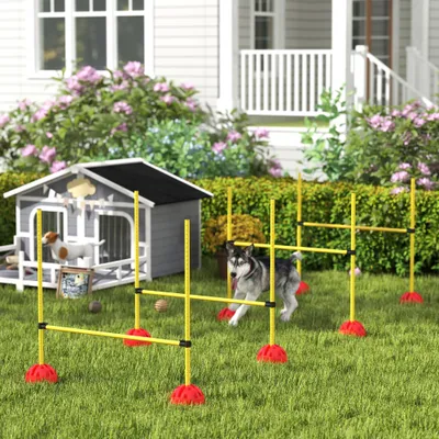 PawHut Agility Set Hunde