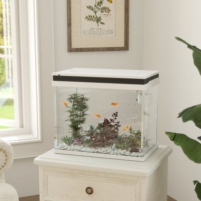 PawHut Aquarium
