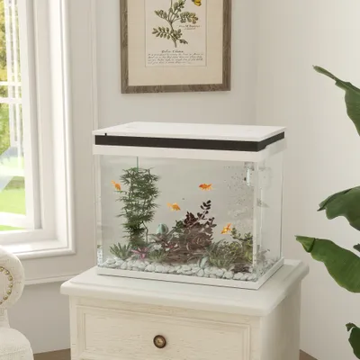 PawHut Aquarium