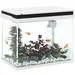 PawHut Aquarium