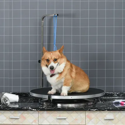 PawHut Tierpflegetisch
