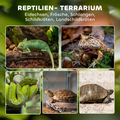 PawHut Terrarium