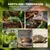PawHut Terrarium