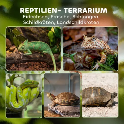 PawHut Terrarium