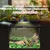PawHut Terrarium