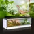 PawHut Terrarium