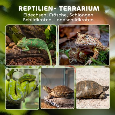 PawHut Terrarium