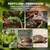 PawHut Terrarium