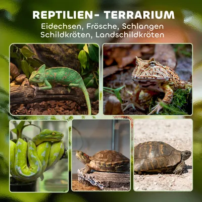 PawHut Terrarium