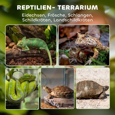 PawHut Terrarium