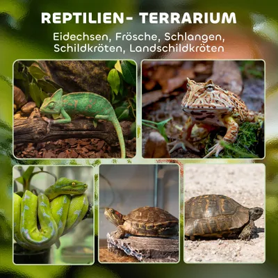 PawHut Terrarium