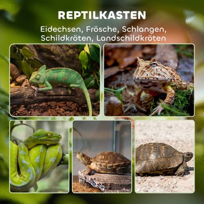 PawHut Terrarium