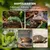 PawHut Terrarium
