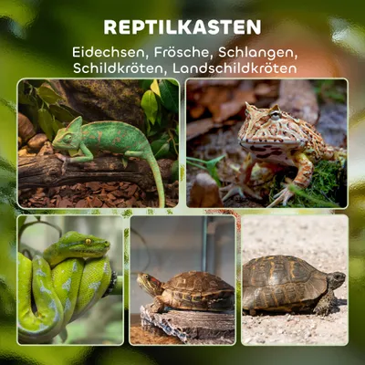 PawHut Terrarium
