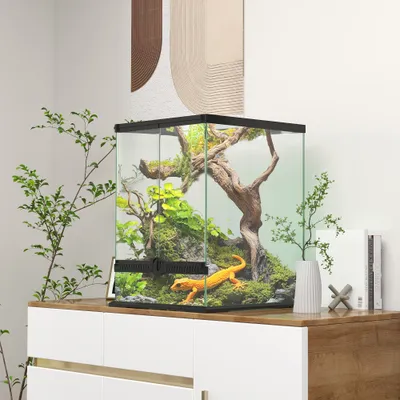 PawHut Terrarium