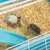 PawHut Hamsterkäfig
