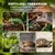 PawHut Terrarium