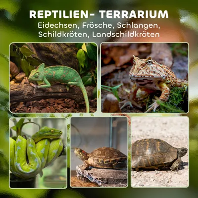 PawHut Terrarium