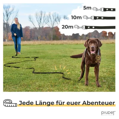PiuPet® Schleppleine für Hunde I Wasserabweisend I Hundeleine