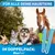 BluePet Automatische Zeckenzange 2er Set BluePet Automatische Zeckenzange 2er Set
