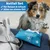 BluePet Zeckenentferner Notfall Set 10teilig mit Zeckenhaken, Zeckenkarte BluePet Zeckenentferner Notfall Set 10teilig mit Zeckenhaken, Zeckenkarte