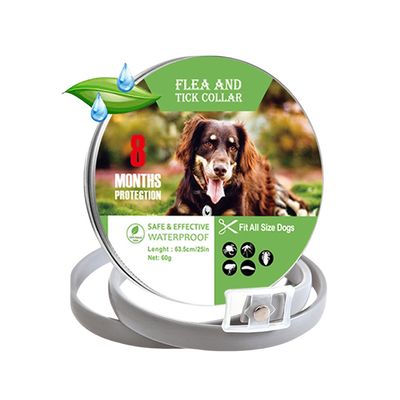 IntiMeg Collier anti - puces et anti - tiques pour chats et chiens
