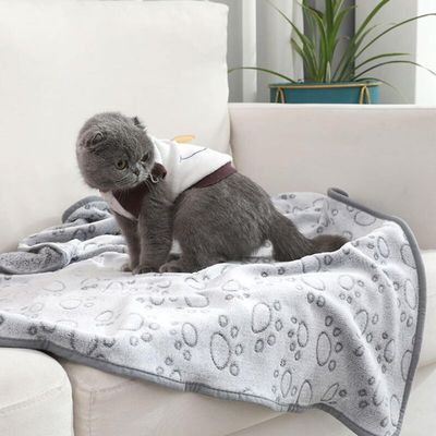 Pawffee Alfombra plegable para gatos – manta cálida perros gatos 104x76 cm