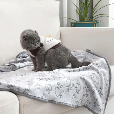 Pawffee Alfombra plegable para gatos – manta cálida perros gatos 104x76 cm