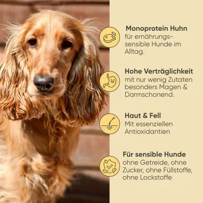 Milo & Mia - Geflügel & Vollkornreis Milo & Mia - Geflügel & Vollkornreis